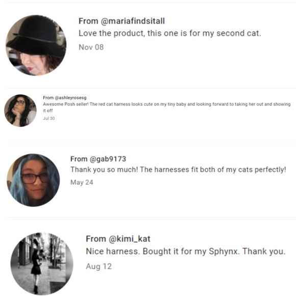 Cat Harness Vest w/ Leash Double Strap Blue Medium Large Extra Large Sizes Avail - Picture 8 of 8